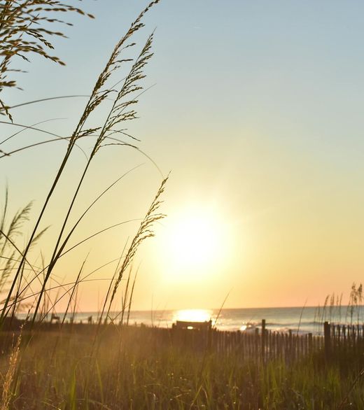 Emerald Isle NC web design for mobile friendly business websites
