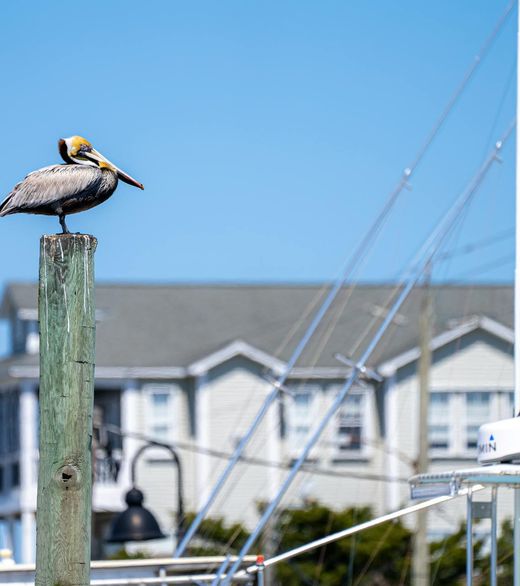 Swansboro NC web design for local businesses